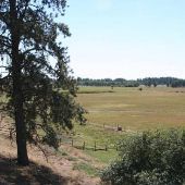 Wilcox Ranch