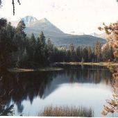 Black Pine Lake