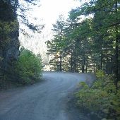 Forest Service Road