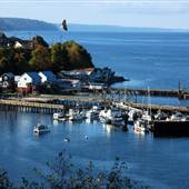 Whidbey & Camano Islands