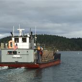 M/V Pintail Vessel
