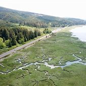 Highway 4 (Pacific County)