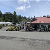 Nursery on Bainbridge Island