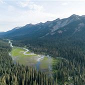 French Cabin Creek Road/Forest Area