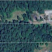 Brandon and Alicia's Forest & Trails