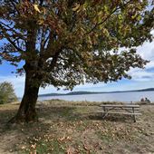 Potlatch State Park - south of Highway 101