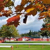 Skagit County Fairgrounds