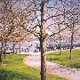 Ruston Way Park