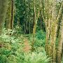 Saint Edwards Park - GEO