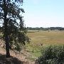 Wilcox Ranch