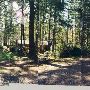 Camp Calvinwood
