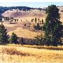 Black Bull Ranch