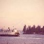 MV Rhododendron