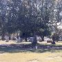 Calvary Cemetery Seattle