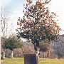 Kalama Cemetery
