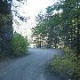 Forest Service Road