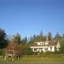 Knickerbocker Home #1