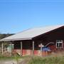 Barns - Whidbey & Camano Islands