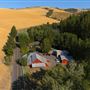 Stella's Homestead