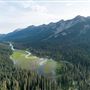French Cabin Creek Road/Forest Area