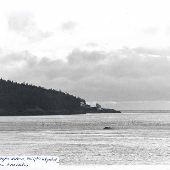 Burroughs Island