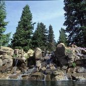 Wenatchee Area Falls