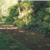 Everett Forest Park - GEO