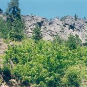 Lake Wenatchee State Park - GEO