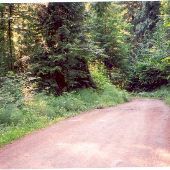 Church Mountain Road