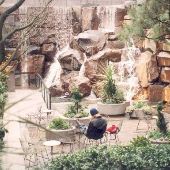 Waterfall Garden Park