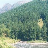 Snoqualmie River East of North Bend