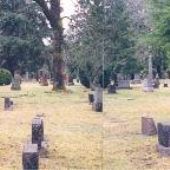 Tacoma Cemetery