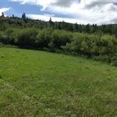 Liieullelanon Ranch