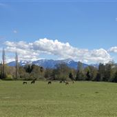 Breezy Valley Ranch