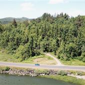 Highway 401 (Knappton Cove)