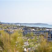 Moran Beach County Park - Island County