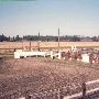 Cheney Rodeo