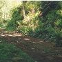 Everett Forest Park - GEO