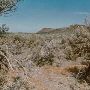 Sun Canyon - GEO