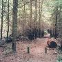 Pioneer Park - GEO