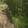 Indian Canyon