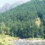 Snoqualmie River East of North Bend
