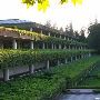 Weyerhaeuser Corporate Headquarters