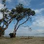 Blake Island