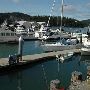 Deception Pass Marina