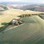 The Hickman Farm