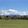 Breezy Valley Ranch