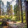 Lake Gillette Campground