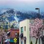 Downtown Issaquah