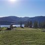 Fruitland Valley Winery